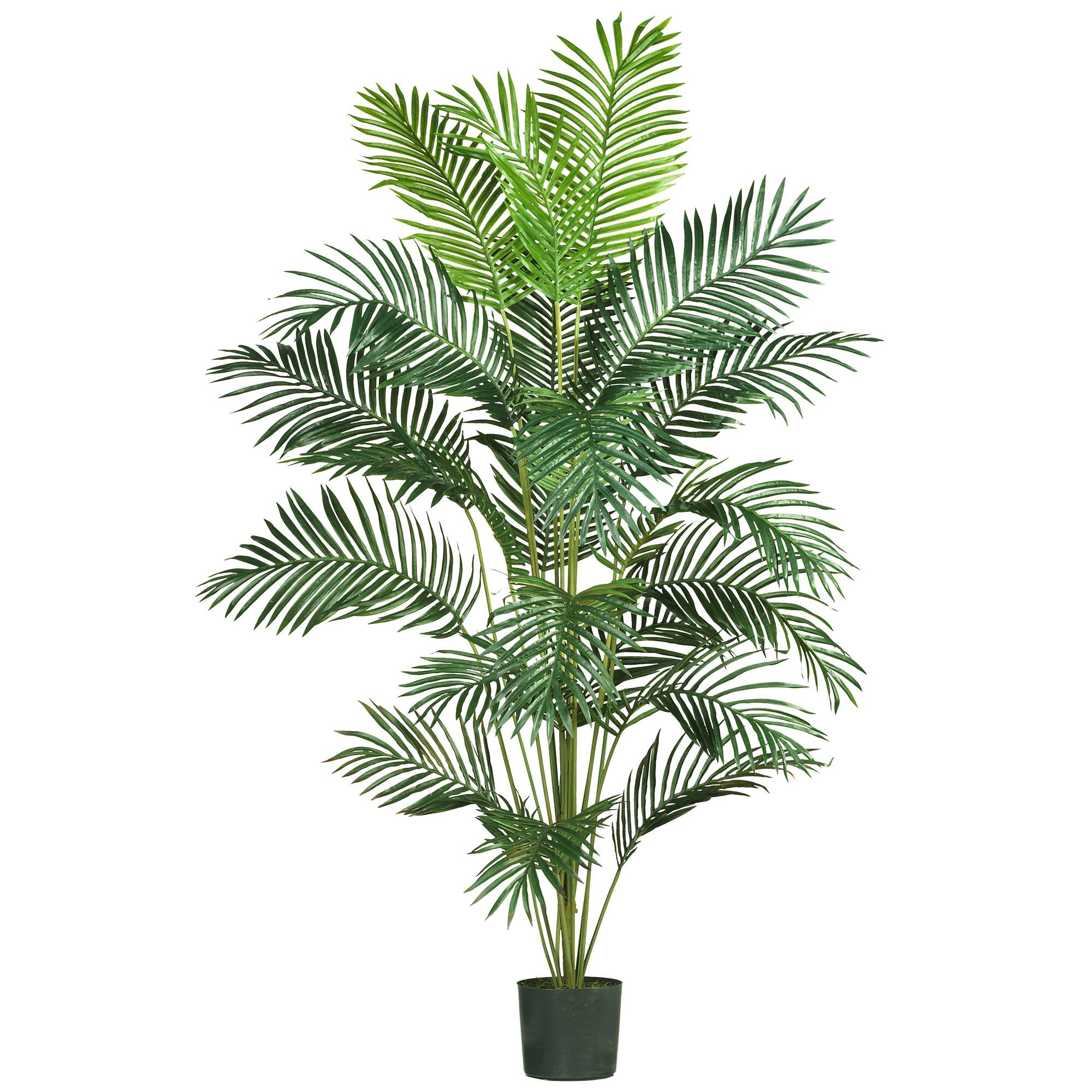 7ft. Potted Paradise Palm